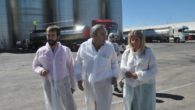 Mostos Españoles recibirá este domingo el título de "Vendimiador del Año" en la Fiesta de la Vendimia Tradicional de Tomelloso