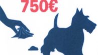 No recoger los excrementos de los perros en Alcázar de San Juan puede suponer una sanción de hasta 750 euros