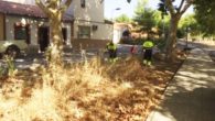 Reforzada la plantilla de limpieza y desbroce de zonas verdes de parques y jardines de Puertollano