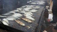 Más de 100 kilos de sardinas en la tradicional sardinada de Carnaval de Manzanares