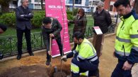 El “Olmo de los Pandorgos”  plantado en los Jardines del Prado de Ciudad Real