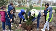 En Ciudad Real alumnos del CEIP José María de la Fuente celebran  el Día del Árbol en el Parque del Pilar