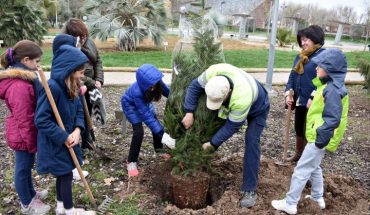En Ciudad Real alumnos del CEIP José María de la Fuente celebran  el Día del Árbol en el Parque del Pilar