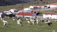 Cónclave ganadero comarcal este jueves en Brazatortas de cara al futuro PRUG del Parque Natural del Valle de Alcudia