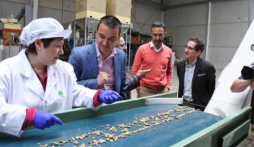 El Gobierno regional impulsa la creación de una asociación para la promoción del pistacho de Castilla-La Mancha que creará una marca colectiva