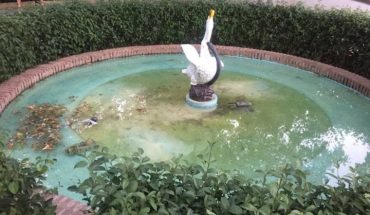 El PSOE de Almodóvar critica que al equipo de Gobierno “ni le preocupan los parques y jardines, ni las fuentes, sin agua o con agua sucia”