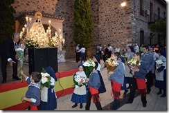 Graci 33