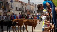 Villamayor de Calatrava inicia mañana sus Fiestas de Septiembre con protagonismo de festejos taurinos