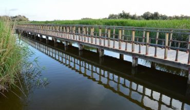 El Gobierno regional publica el día 4 la convocatoria de ayudas por más de 618.000 euros para las zonas de influencia de los Parques Nacionales