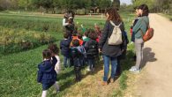 El Gobierno regional impulsa la educación ambiental con una nueva convocatoria de ayudas para transporte escolar que se publica el jueves