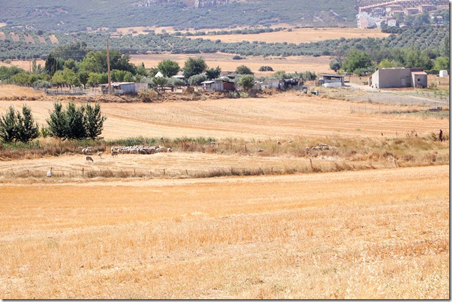 Paraje donde se ejecutarán las obras de la depuradora de Argamasilla de Calatrava