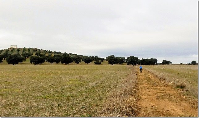camino del retamarejo