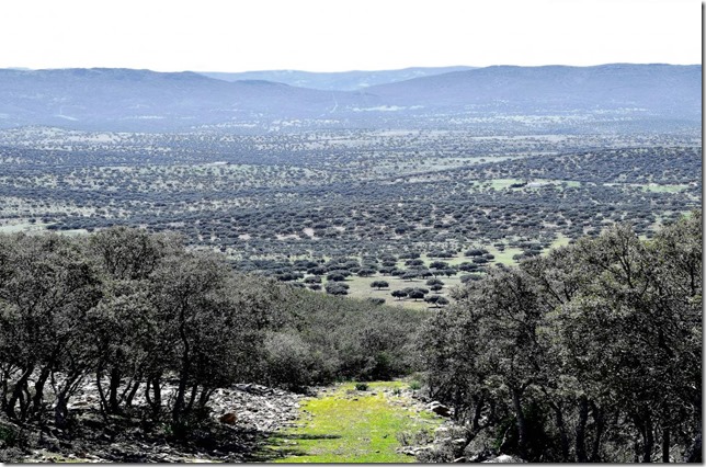 Parque Natural Valle de Alcudia y Sierra Madrona