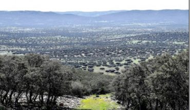 El Gobierno regional publica la aprobación del PRUG del Parque Natural Valle de Alcudia y Sierra Madrona, tras un proceso de participación y consenso de todos los interlocutores
