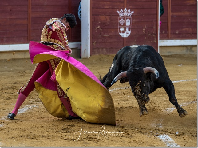 Una imagen de Jesús Recuero durante los festejos taurinos de Almodóvar del Campo