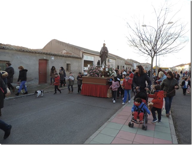 La imagen de San Antón procesionando por las calles de Argamasilla de Calatrava