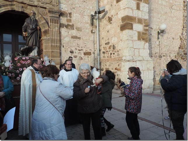 Momento de la bendición de animales a la puerta del templo parroquial de Argamasilla de calatrava