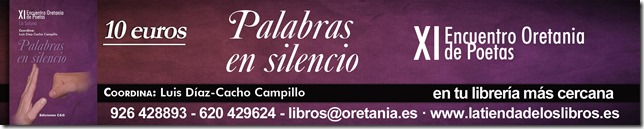 Palabras en silencio web