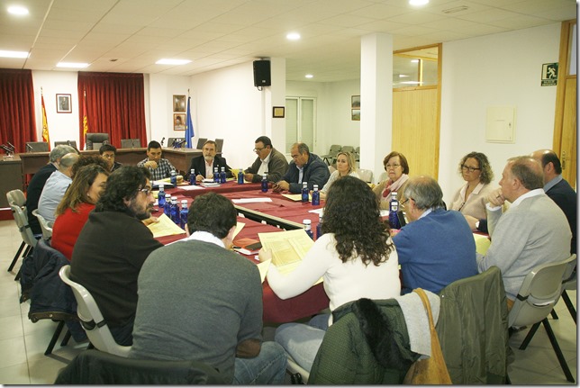 Un momento durante la celebración del pleno de la Mancomunidad en Aldea del Rey