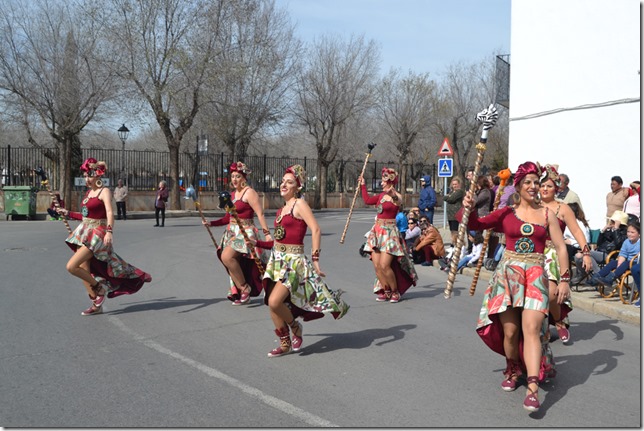 desfile carnaval 2020 (Las Peñuelas) (6)