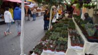 El Mercado de la Independencia llena de público el centro de la ciudad de Puertollano