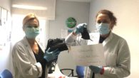 Las costureras de Calzada de Calatrava continúan cosiendo mascarillas con el hilo de la solidaridad