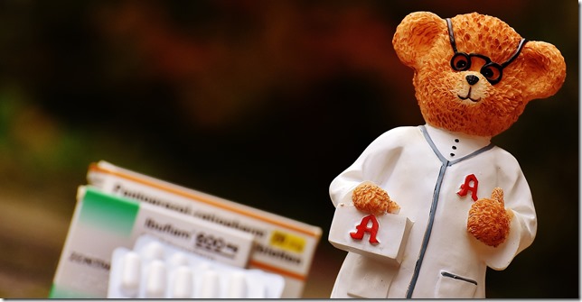 bear-1863992_1920