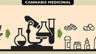 Medicina Natural: El Cannabis Medicinal