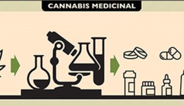 Medicina Natural: El Cannabis Medicinal