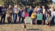 El Gobierno de Castilla-La Mancha consolida la reintroducción del lince en la región con tres núcleos de población asentados y 327 ejemplares de los 1.111 censados en la Península Ibérica en 2020