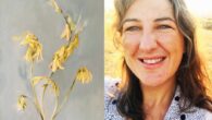 La colección “Fragilidad, belleza y misterio” de Rosa Leal Arias, ilustra el libro del XIV Encuentro Oretania de Poetas que se celebrará en San Carlos del Valle