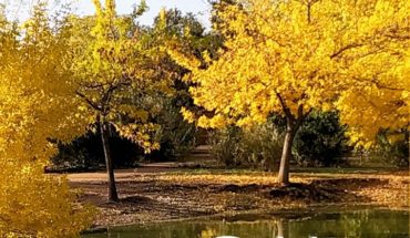 Los colores para el XIV Encuentro Oretania de Poetas “Palabras a la muerte” que se celebrará en San Carlos del Valle en el mes de octubre